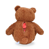 Loving Teddy Bear Keepsake Urn