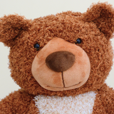 Loving Teddy Bear Keepsake Urn