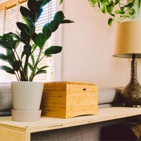 EcoHome™ Bamboo Chest Cremation Urn