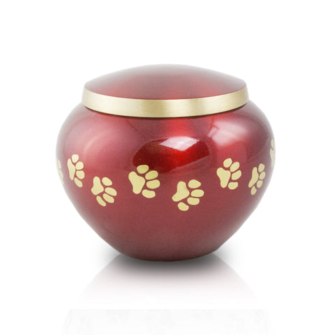 Odyssey Paw Print Band Pet Urn